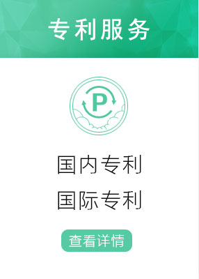 國內專利