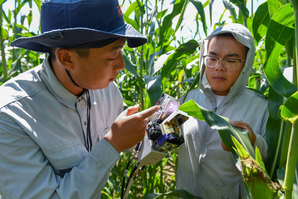 科技賦能中國農(nóng)民的豐收年 農(nóng)業(yè)科學(xué)研究的試驗(yàn)發(fā)展