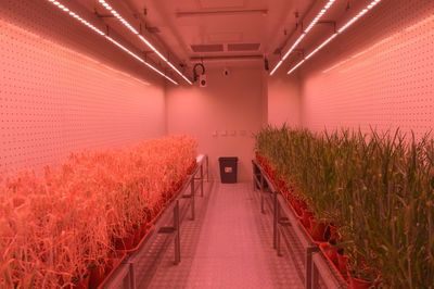 創(chuàng)新驅(qū)動(dòng)，沃野生金 農(nóng)業(yè)科研賦能中部地區(qū)高質(zhì)量發(fā)展